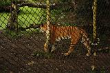 noorderdierenpark_216