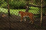 noorderdierenpark_217