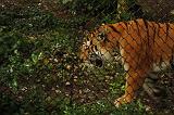 noorderdierenpark_219