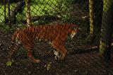 noorderdierenpark_220