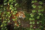 noorderdierenpark_221