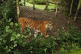noorderdierenpark_223