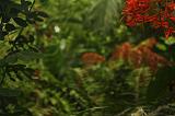 noorderdierenpark_229