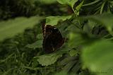 noorderdierenpark_252