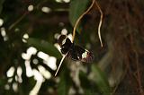 noorderdierenpark_261