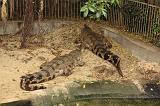 noorderdierenpark_281