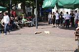 Horcerace_2008_032