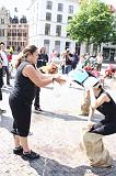 Horcerace_2008_053