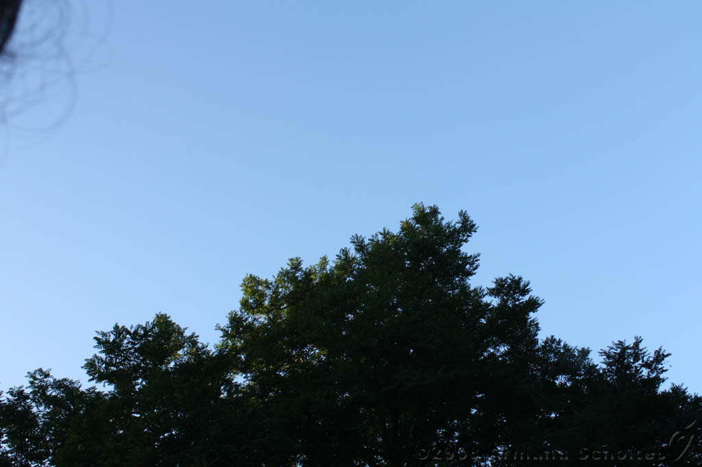 springstof_114.jpg