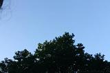 springstof_114