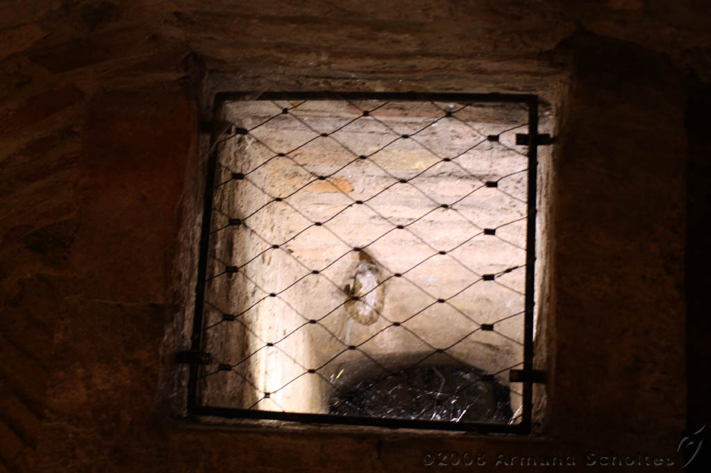 museum_muiderslot_037.jpg