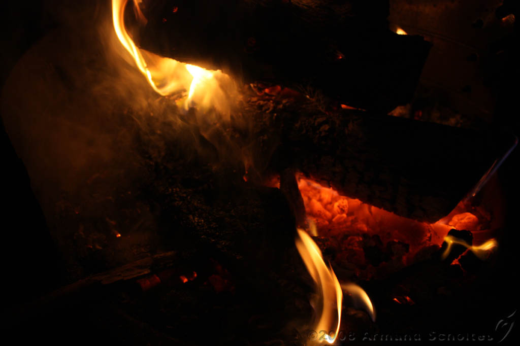 bbq_rene_116.jpg