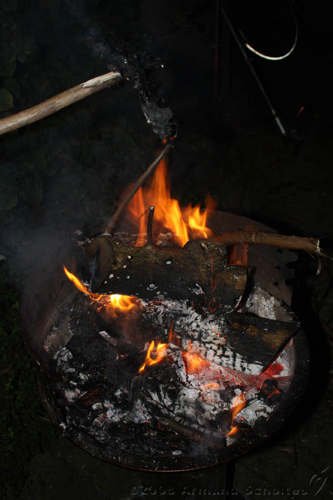 bbq_rene_119.jpg