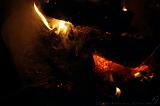 bbq_rene_117