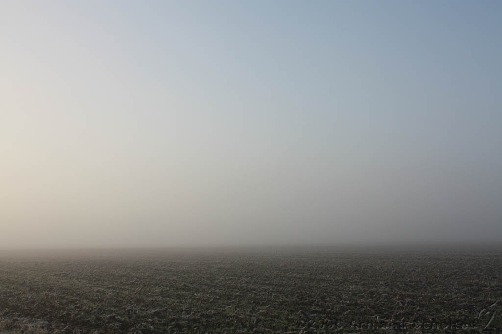 Mist_002.jpg