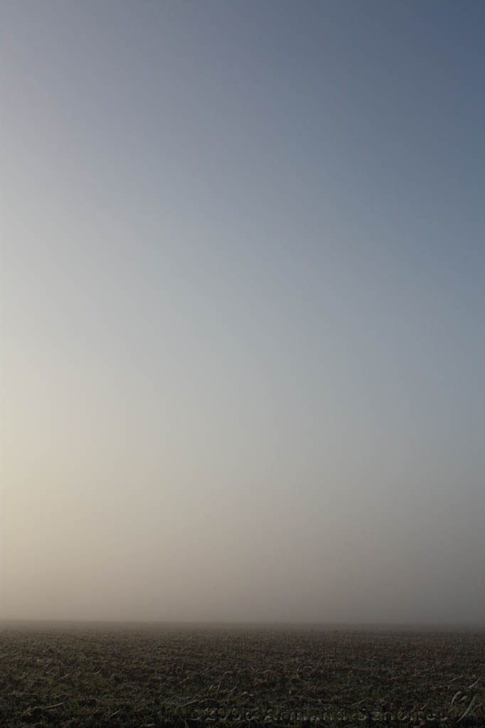 Mist_004.jpg