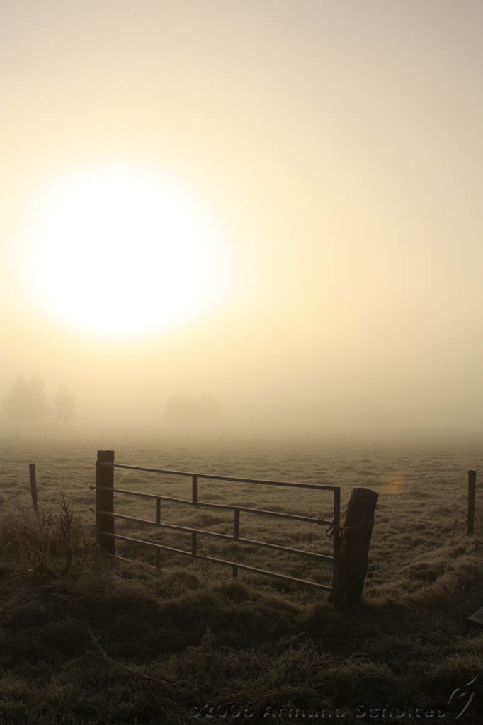 Mist_005.jpg