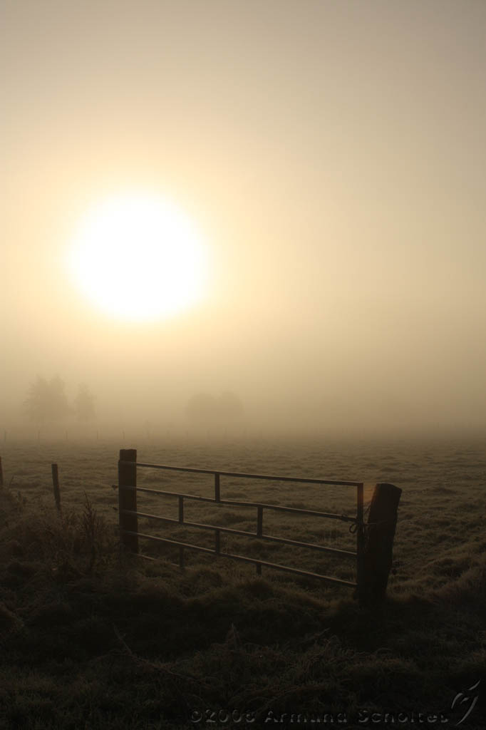 Mist_006.jpg
