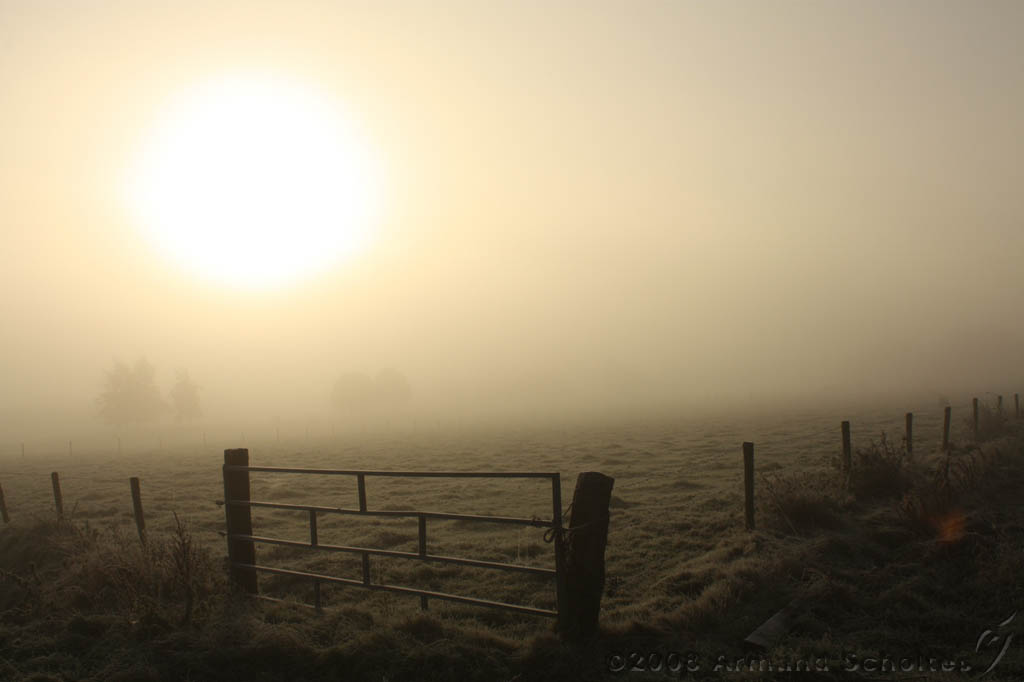 Mist_007.jpg