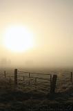 Mist_005