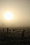 Mist_006