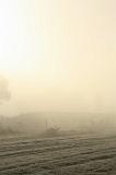 Mist_012