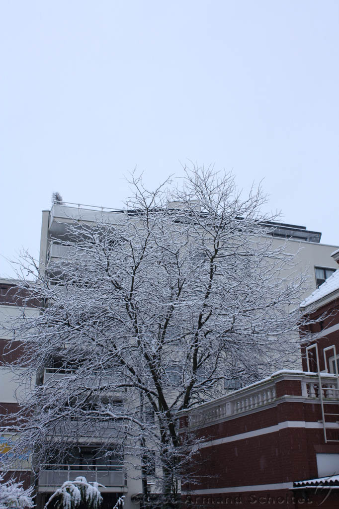 Winterweer_002.jpg