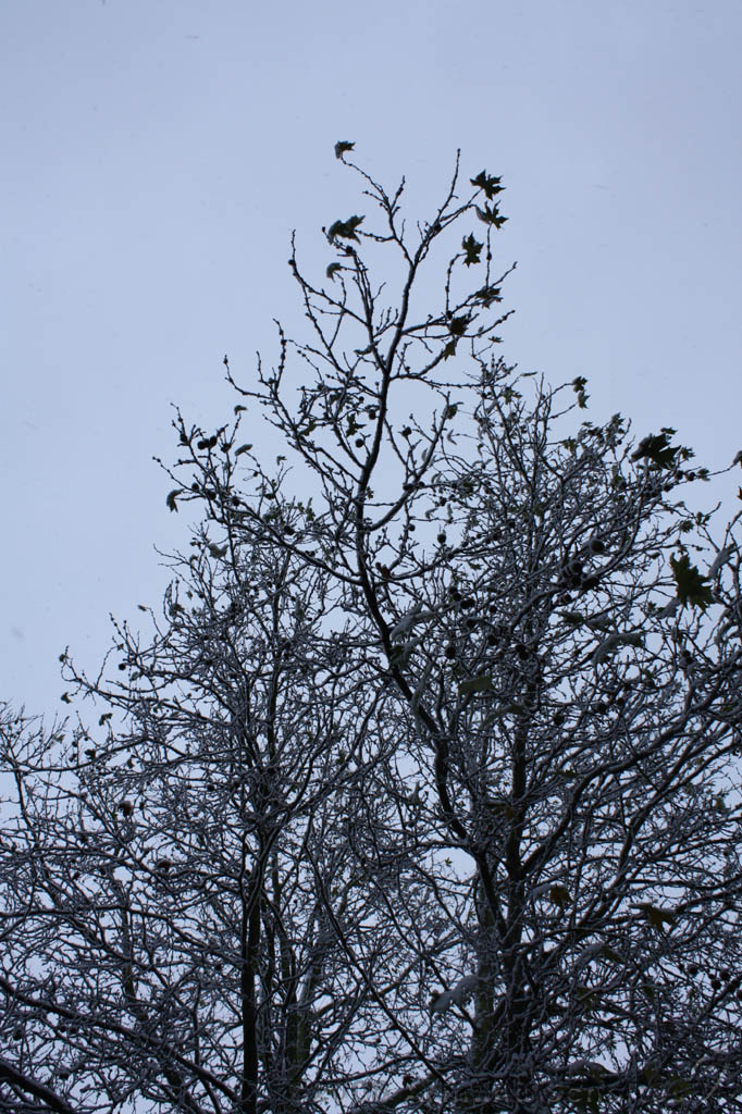 Winterweer_005.jpg