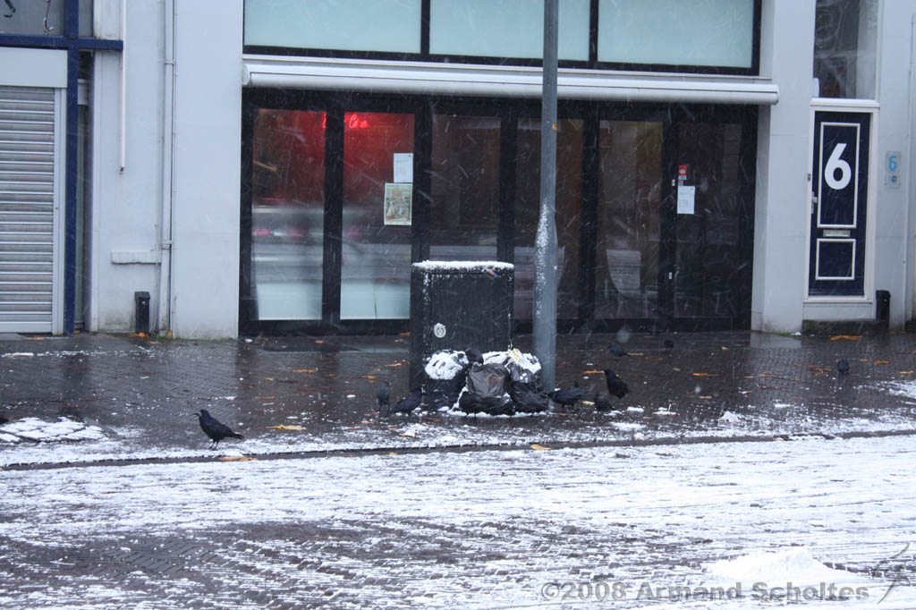 Winterweer_009.jpg