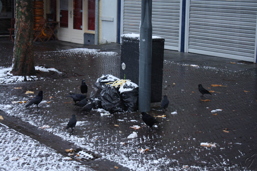 Winterweer_015.jpg