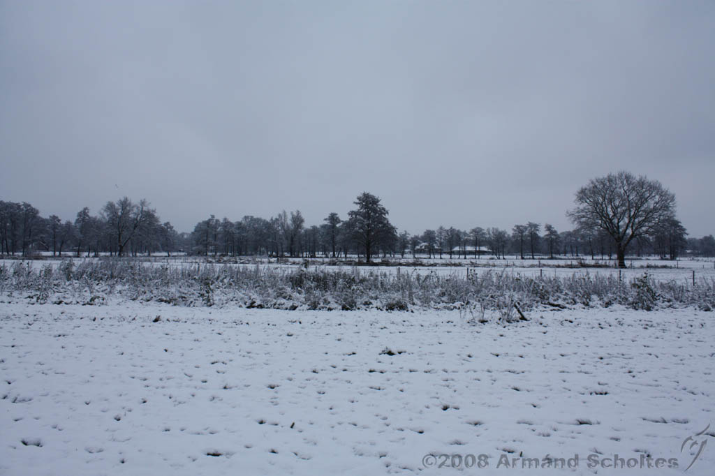 Winterweer_035.jpg