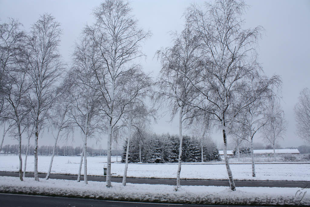 Winterweer_037.jpg