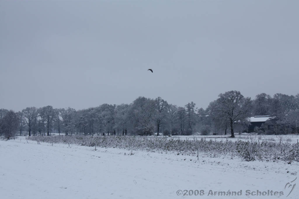 Winterweer_039.jpg