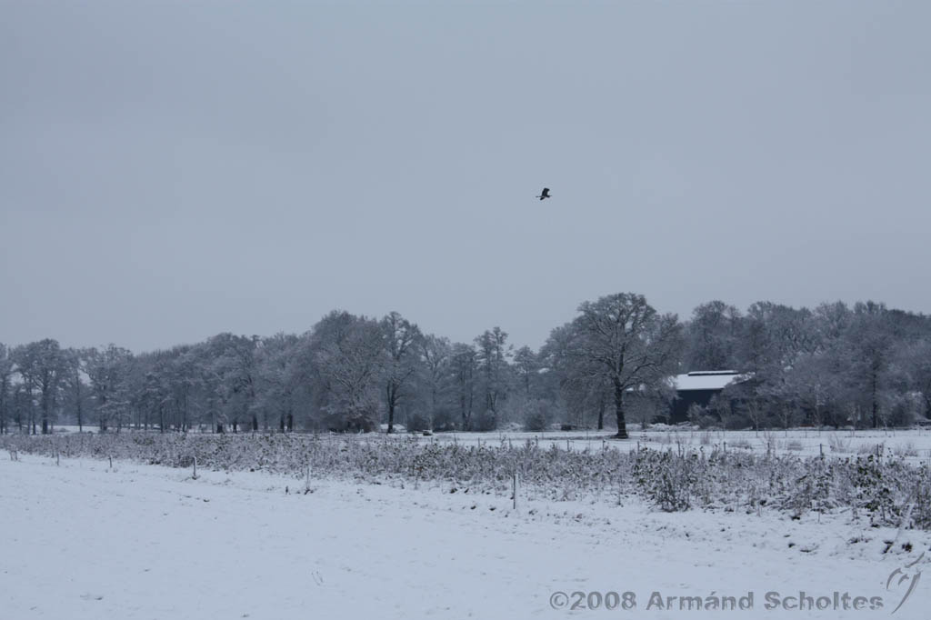 Winterweer_040.jpg