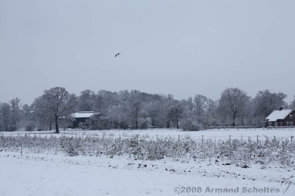 Winterweer_041.jpg