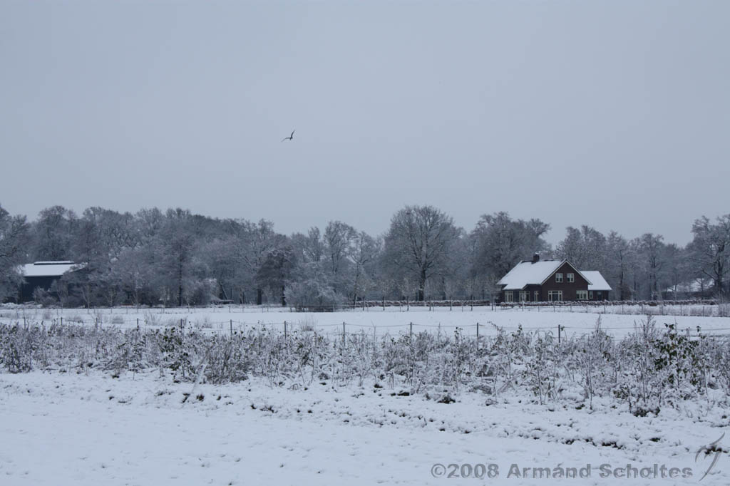 Winterweer_042.jpg
