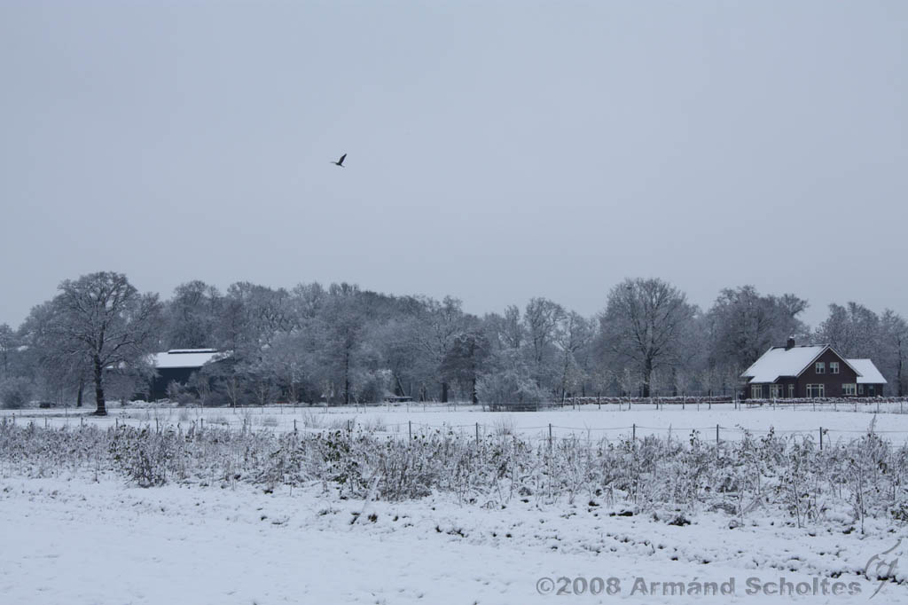 Winterweer_043.jpg