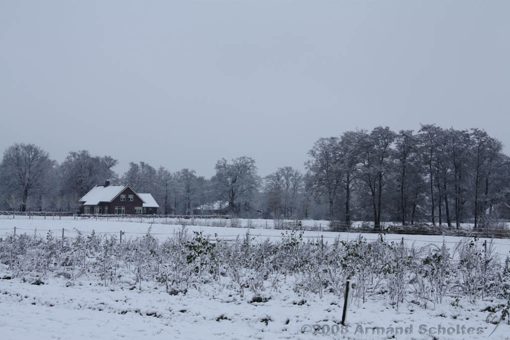 Winterweer_044.jpg