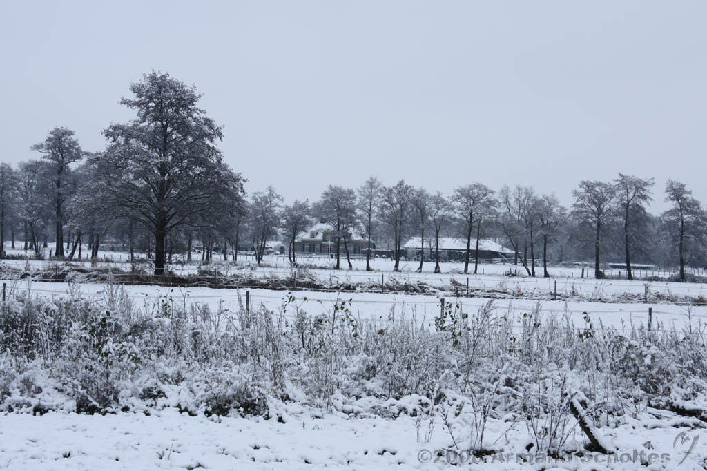 Winterweer_045.jpg