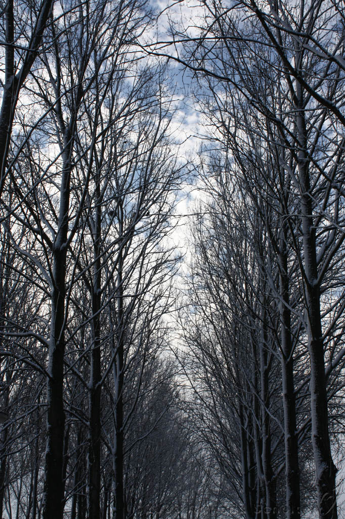 Winterweer_057.jpg