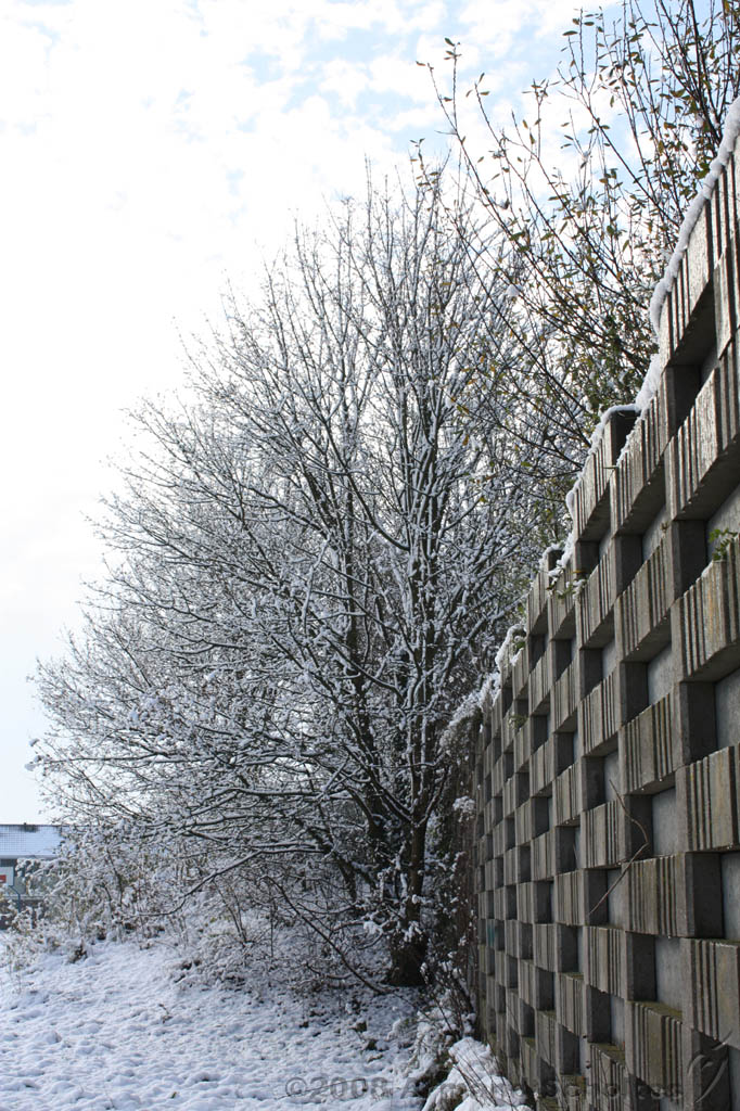 Winterweer_058.jpg