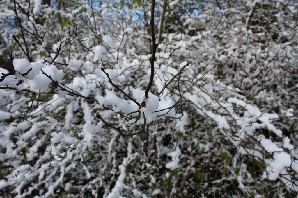 Winterweer_060.jpg