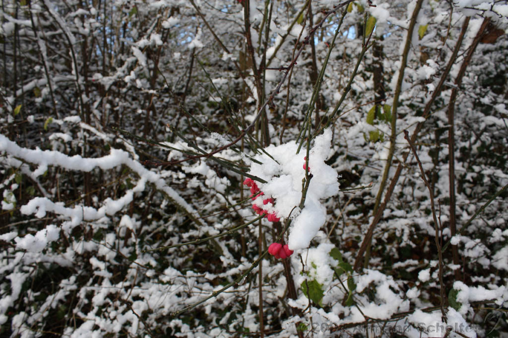 Winterweer_061.jpg