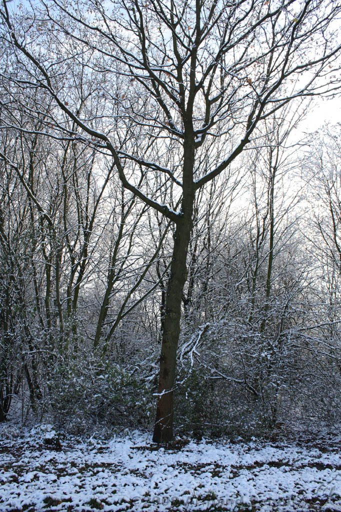 Winterweer_063.jpg