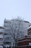 Winterweer_002