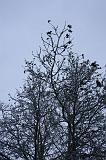 Winterweer_005