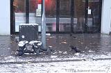 Winterweer_010