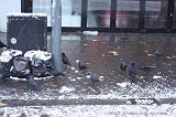 Winterweer_011