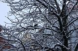Winterweer_012