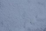 Winterweer_029